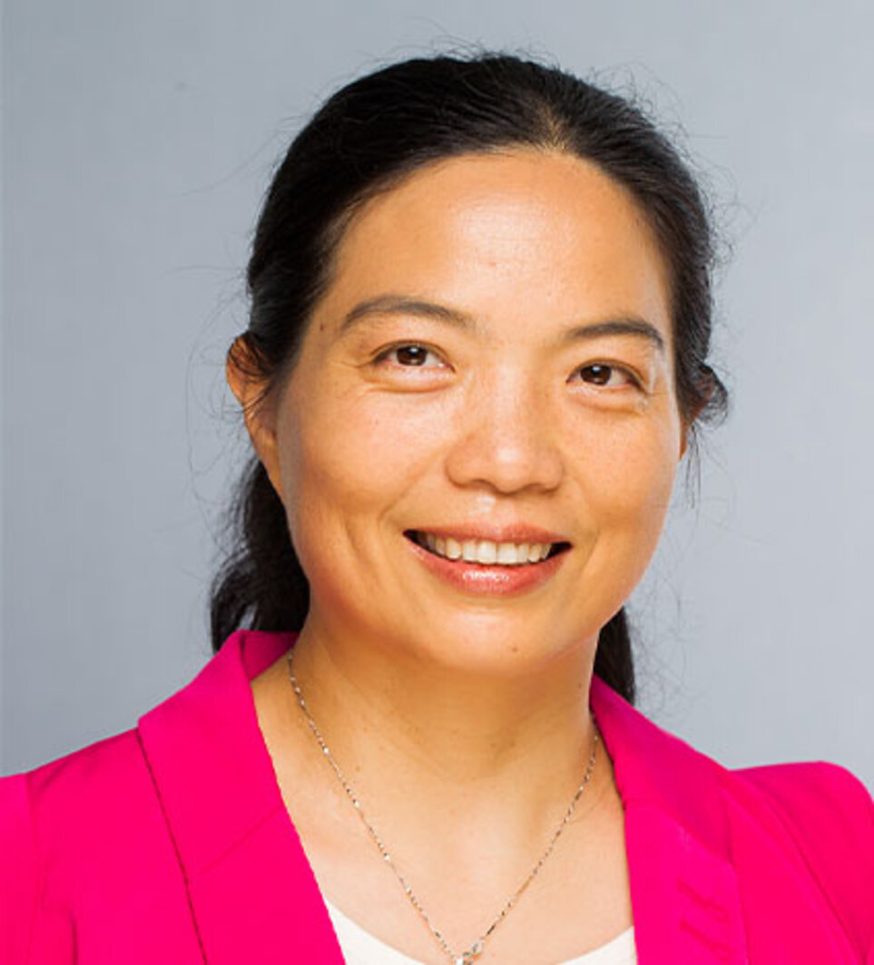 Prof. Dr. Mei Wang